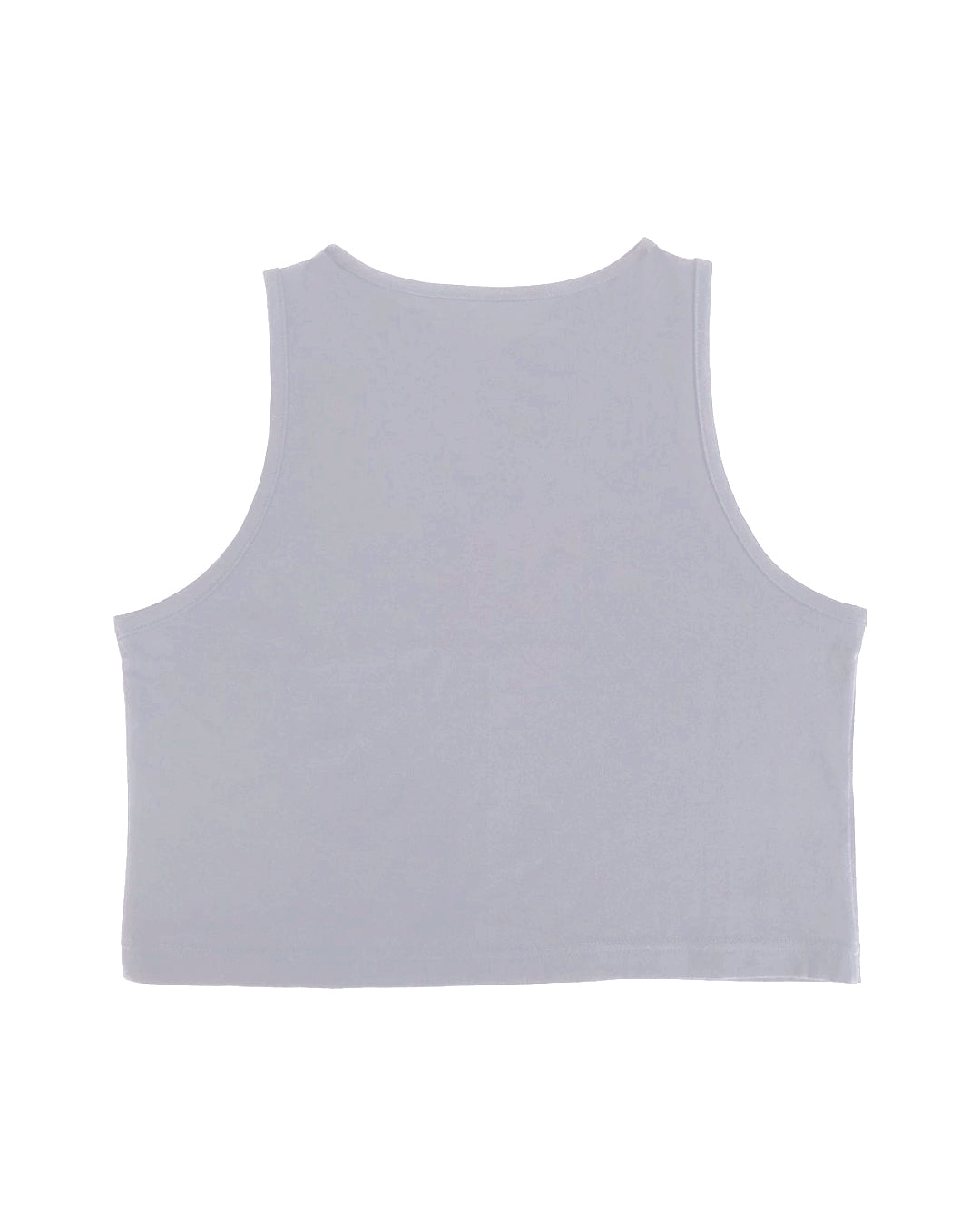 '' REBORN '' Ice grey halter crop top